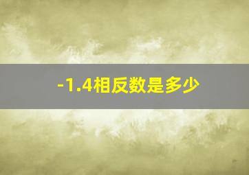 -1.4相反数是多少