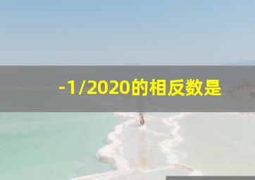 -1/2020的相反数是