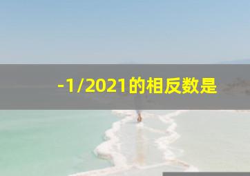 -1/2021的相反数是