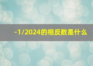 -1/2024的相反数是什么