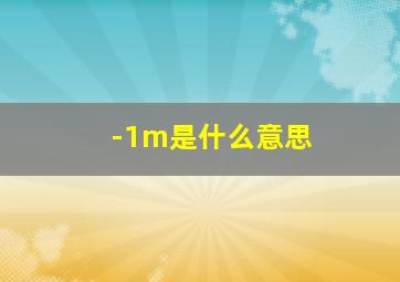 -1m是什么意思