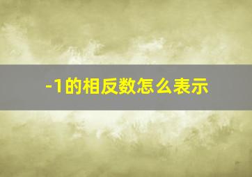 -1的相反数怎么表示