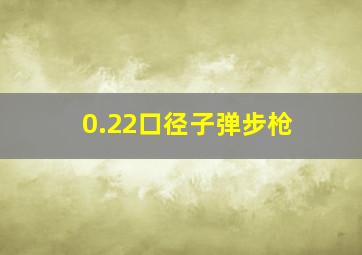 0.22口径子弹步枪