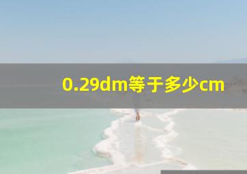 0.29dm等于多少cm