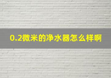 0.2微米的净水器怎么样啊