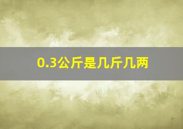 0.3公斤是几斤几两