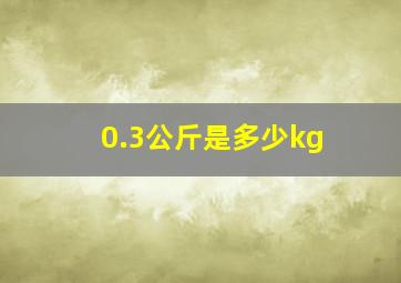 0.3公斤是多少kg