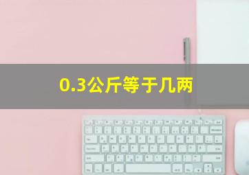 0.3公斤等于几两