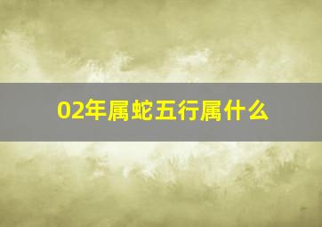 02年属蛇五行属什么