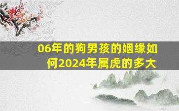 06年的狗男孩的姻缘如何2024年属虎的多大