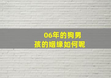 06年的狗男孩的姻缘如何呢