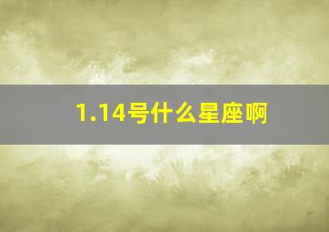 1.14号什么星座啊