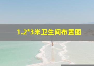 1.2*3米卫生间布置图