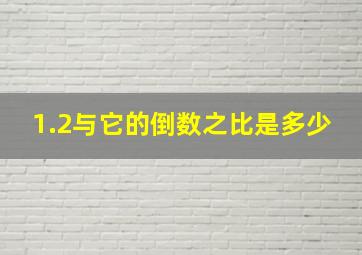 1.2与它的倒数之比是多少