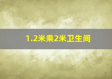 1.2米乘2米卫生间