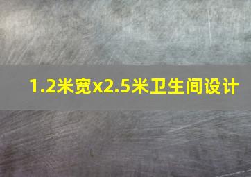 1.2米宽x2.5米卫生间设计