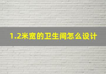 1.2米宽的卫生间怎么设计