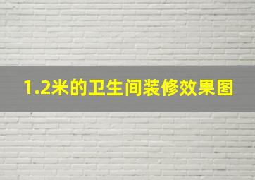 1.2米的卫生间装修效果图