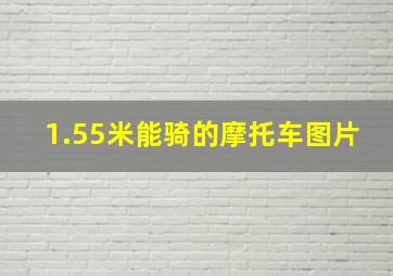 1.55米能骑的摩托车图片