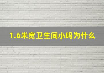 1.6米宽卫生间小吗为什么