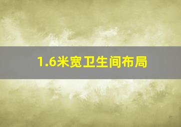 1.6米宽卫生间布局