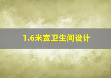 1.6米宽卫生间设计