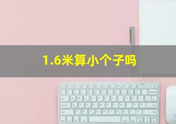 1.6米算小个子吗