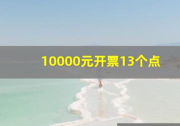 10000元开票13个点