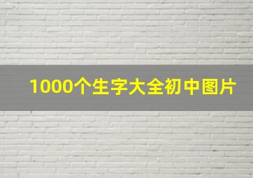 1000个生字大全初中图片