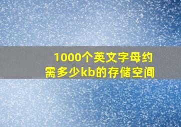 1000个英文字母约需多少kb的存储空间