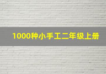 1000种小手工二年级上册