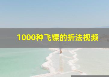 1000种飞镖的折法视频