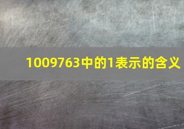 1009763中的1表示的含义