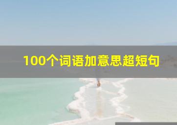 100个词语加意思超短句