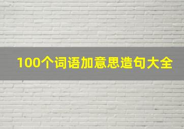 100个词语加意思造句大全