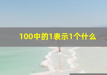 100中的1表示1个什么