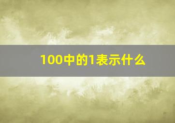 100中的1表示什么