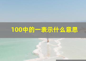 100中的一表示什么意思