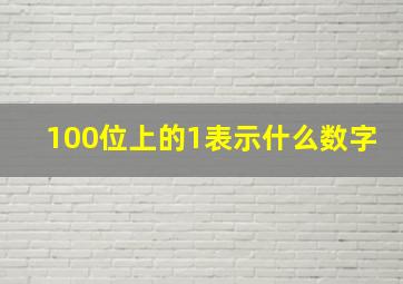 100位上的1表示什么数字