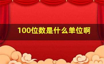 100位数是什么单位啊