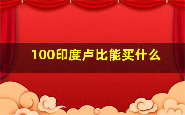 100印度卢比能买什么