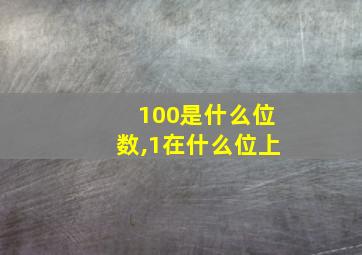 100是什么位数,1在什么位上