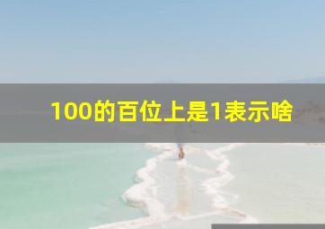 100的百位上是1表示啥