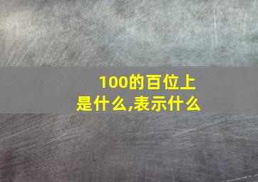 100的百位上是什么,表示什么