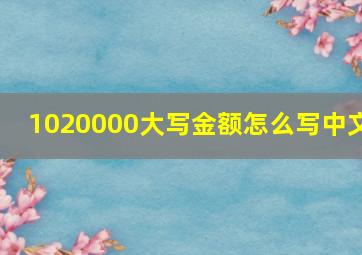 1020000大写金额怎么写中文