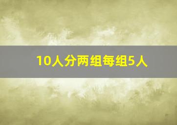 10人分两组每组5人