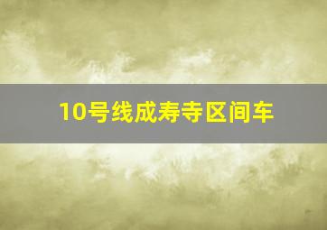 10号线成寿寺区间车