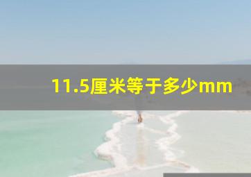 11.5厘米等于多少mm