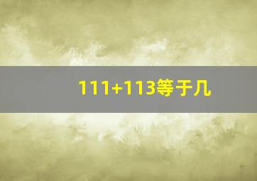 111+113等于几