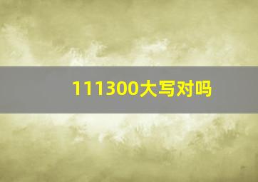 111300大写对吗